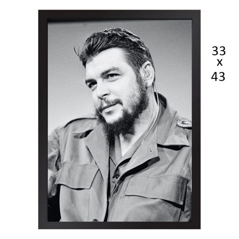 Che Guevara Biografia
