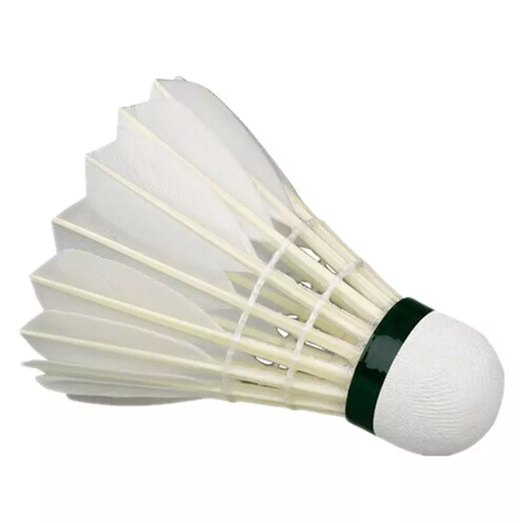 Volante Badminton